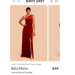 Birdy Grey Kira Velvet Dress - Burnt Orange
